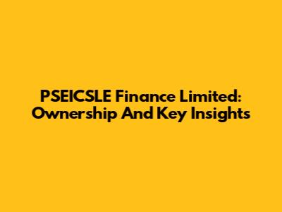 PSEICSLE Finance Limited: Ownership And Key Insights